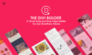 Divi Builder Visual Drag Drop Page Builder