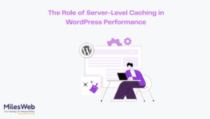 basic wordpress hosting, managed wordpress hosting providers